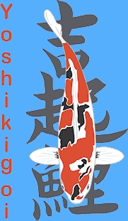 Select Smaller Koi Select Smaller Koi